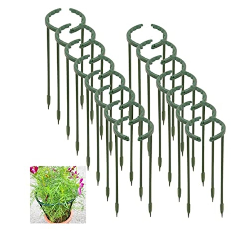 植物支柱 花ささえ 1