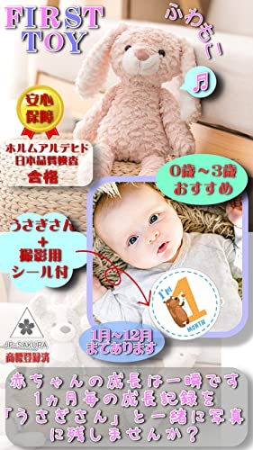 撮影セット付 ファーストトイ 2