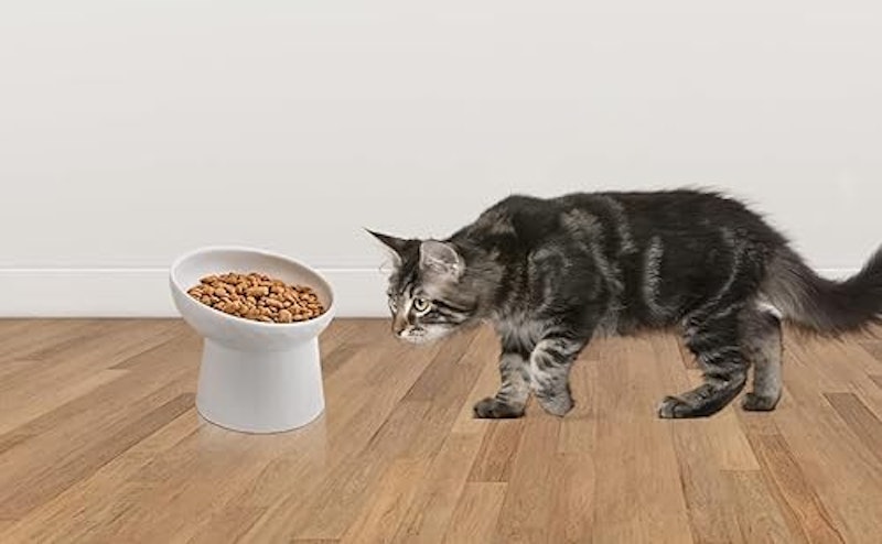 猫用フードボウル 8