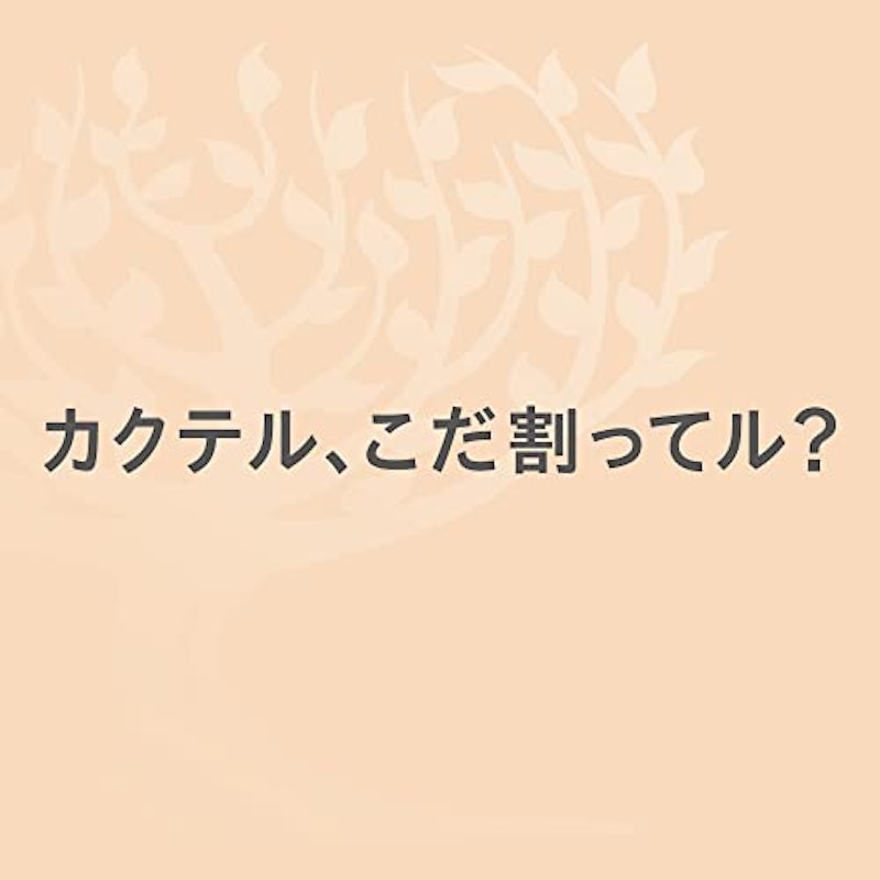 プレミアムジンジャーエール 4