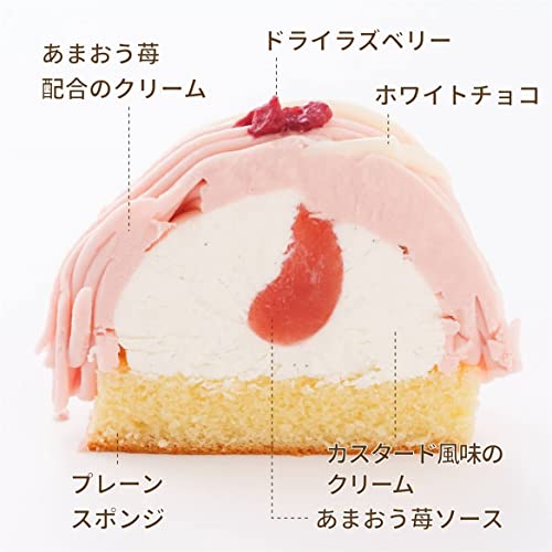Sioditin 福岡あまおう苺モンブラン 260g 4個入 3