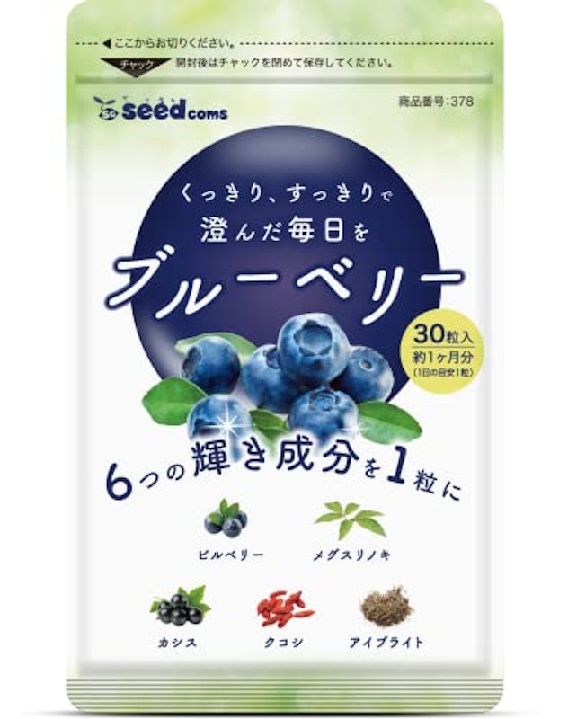 ブルーベリー 1