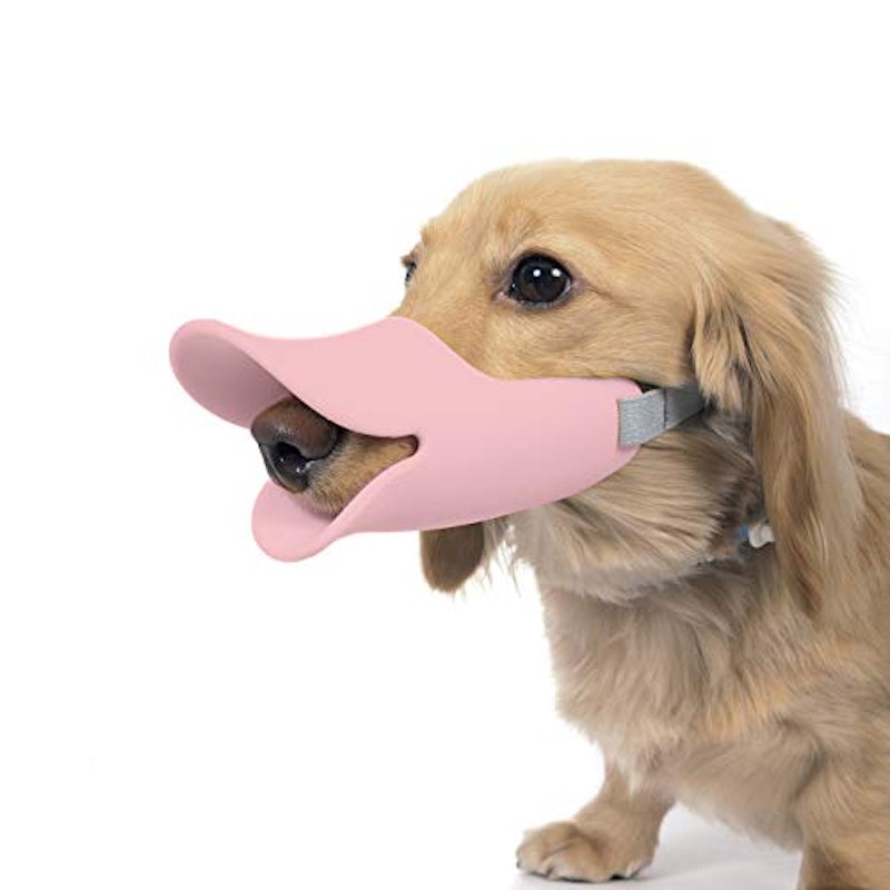 クァック 1