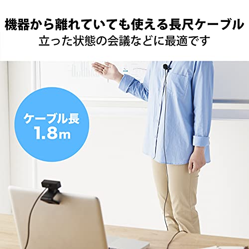 ピンマイク 5