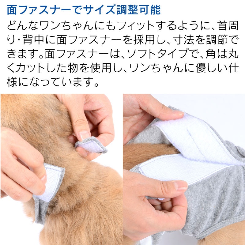 マナーパンツ 4