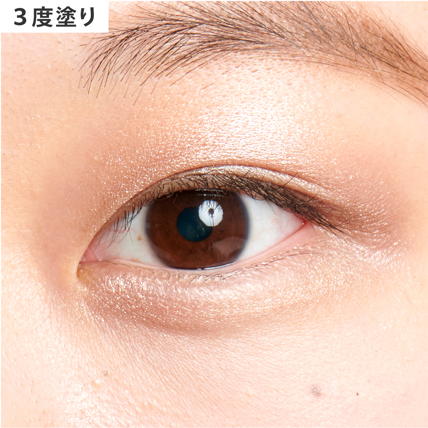 fa021b2806a4ffacbc2c3c8ef49581