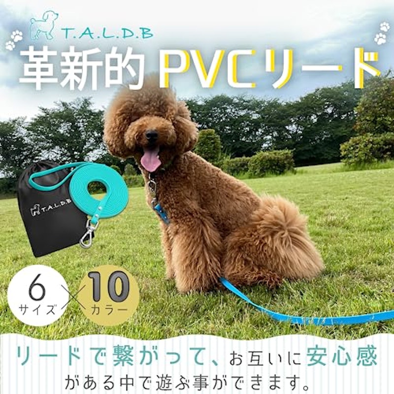 リード 2