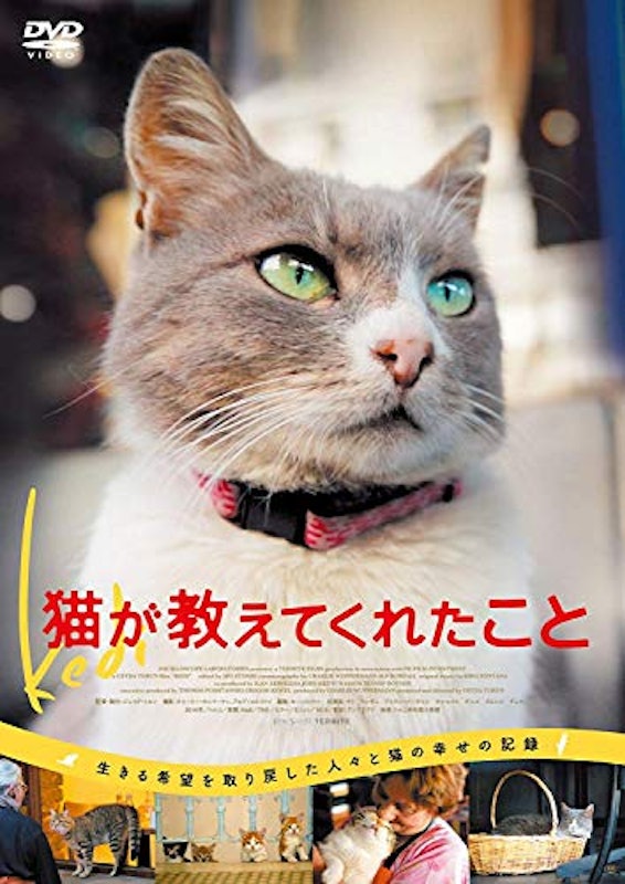 21年 猫映画のおすすめ人気ランキング25選 Mybest