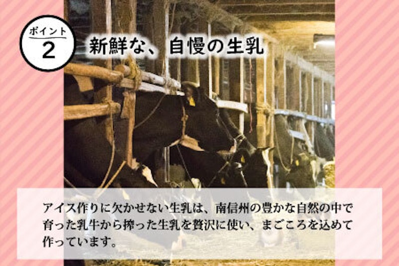 信州りんごアイス 3