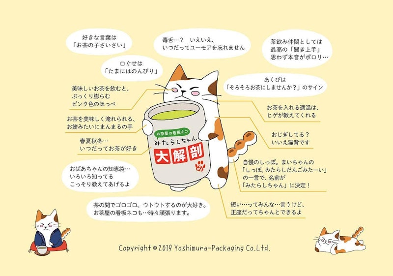猫茶 和紙缶 8