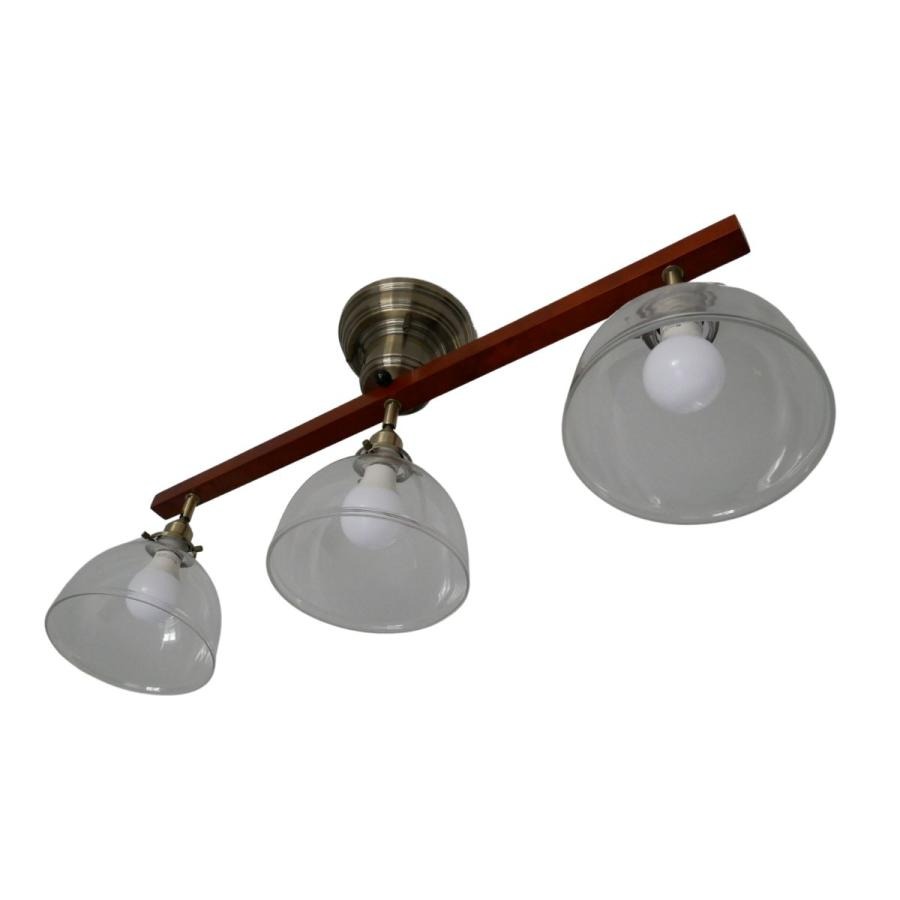 CEILING SPOTLIGHT  2