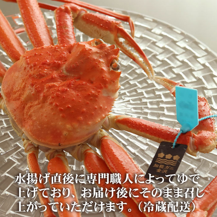 加能がに 4