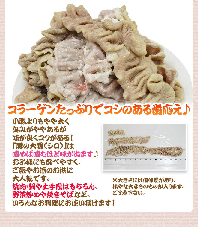  国産 豚大腸 6