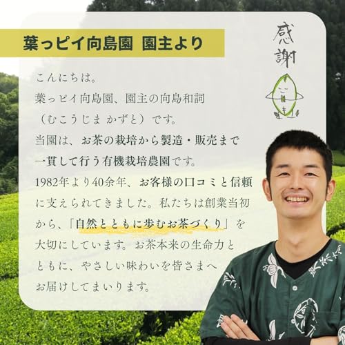 熟成三年番茶 3