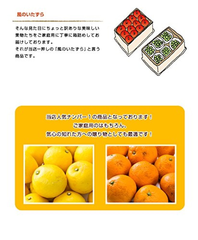 みかん せとか 5kg 4