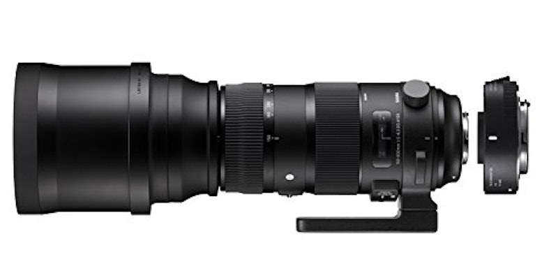 150-600mm F5-6.3 DG OS HSM | Contemporary 1