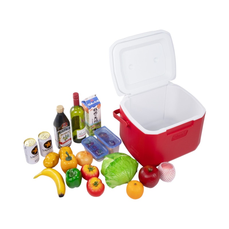Newell Brands Coleman エクスカーションクーラー 2000027860を検証 Newell Brands Coleman エクスカーションクーラー 2000027860を検証