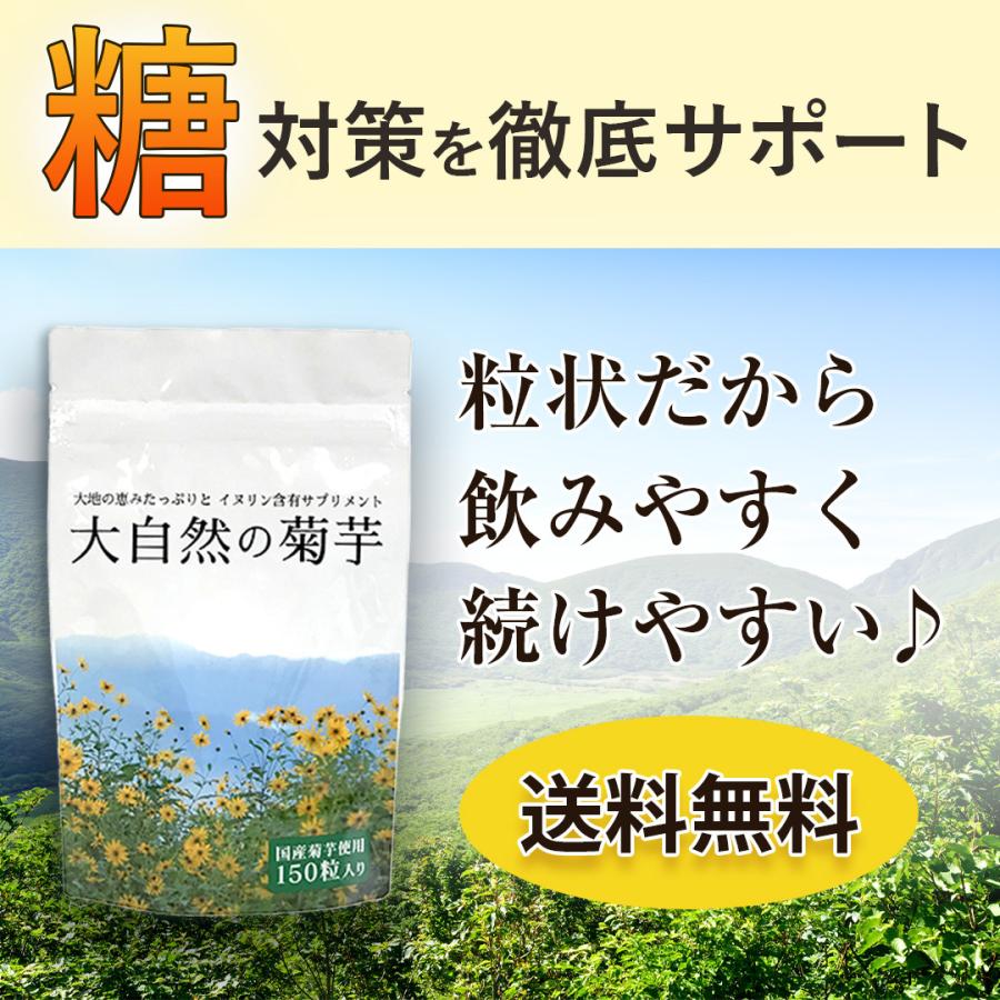 大自然の菊芋 2