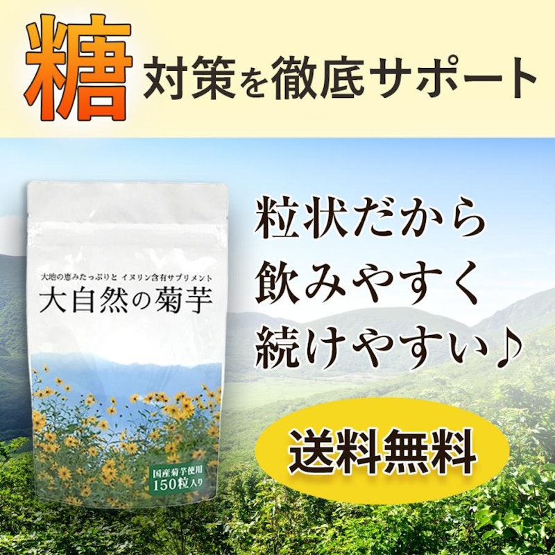 大自然の菊芋 2