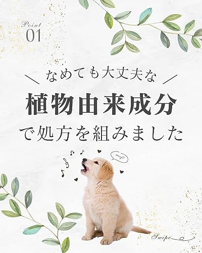 イヤークリーナー 3