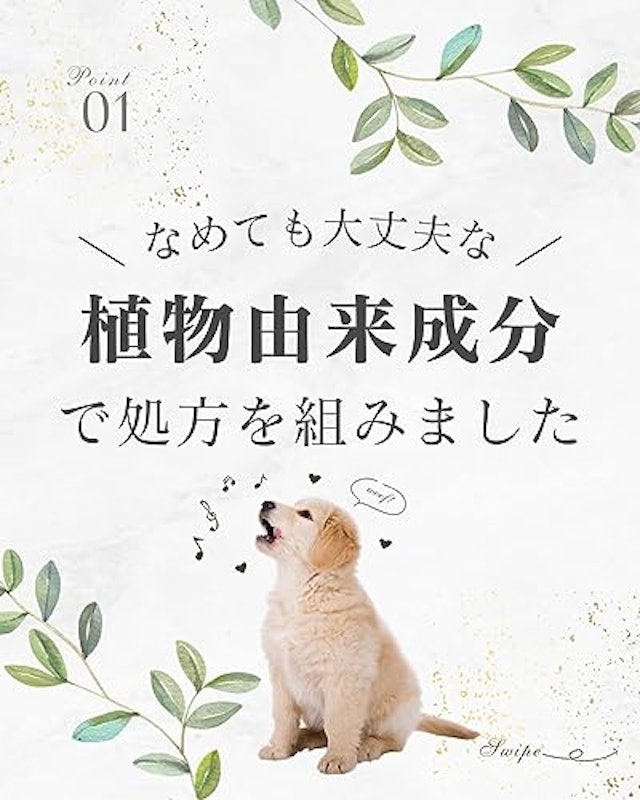イヤークリーナー 3