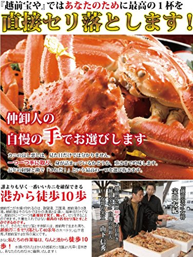 越前がに 5