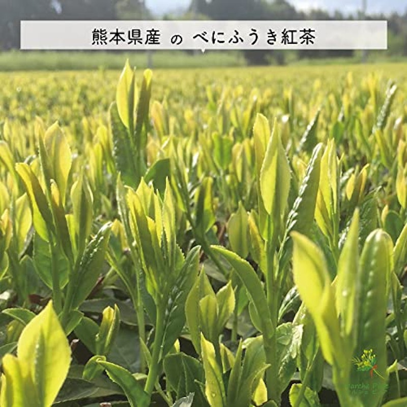 生姜紅茶 5
