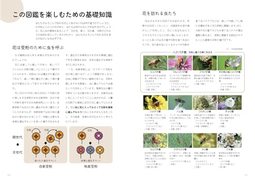 虫がよろこぶ花図鑑  4