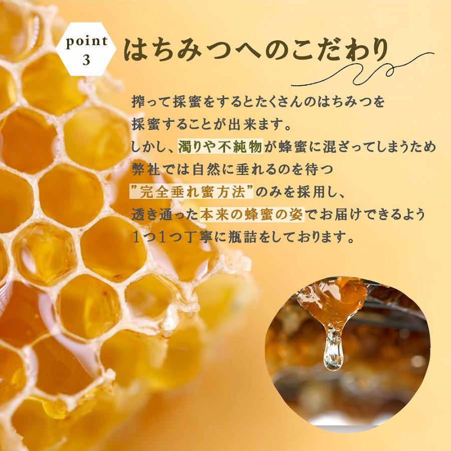 菌ちゃんげんきっこ 6