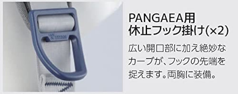 PANGAEA HORIZON 6
