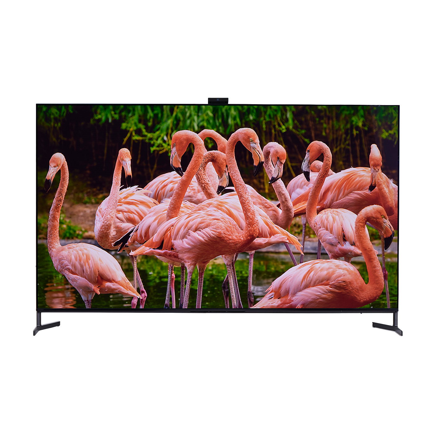 ソニー BRAVIA 4K有機ELテレビ XRJ-65A95Lを検証レビュー！65