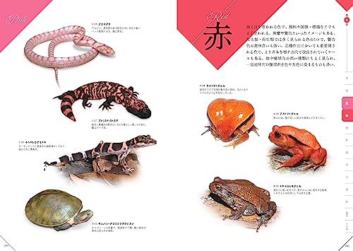 色彩別 爬虫類・両生類図鑑 5