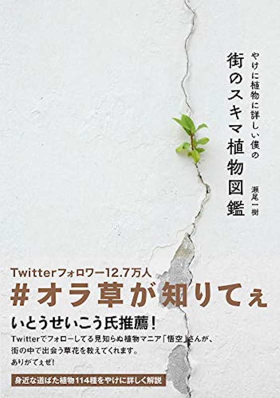 Si3x9fbcy Onwm Si3x9fbcy Onwm