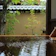 花屋ホテル 別所温泉 旅館 花屋 1