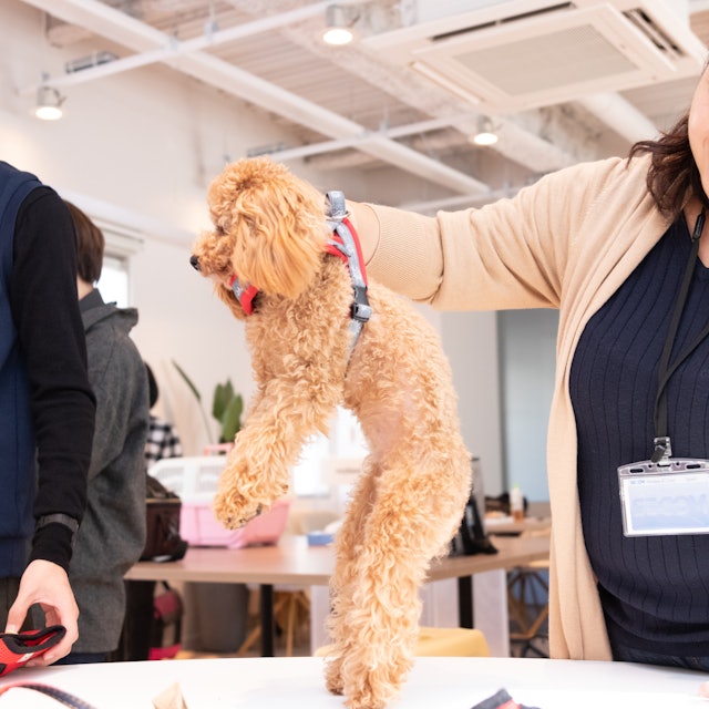徹底比較 犬用ハーネスのおすすめ人気ランキング18選 Mybest 徹底比較 犬用ハーネスのおすすめ人気ランキング18選 Mybest