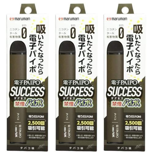 電子PAIPO　SUCCESS 1