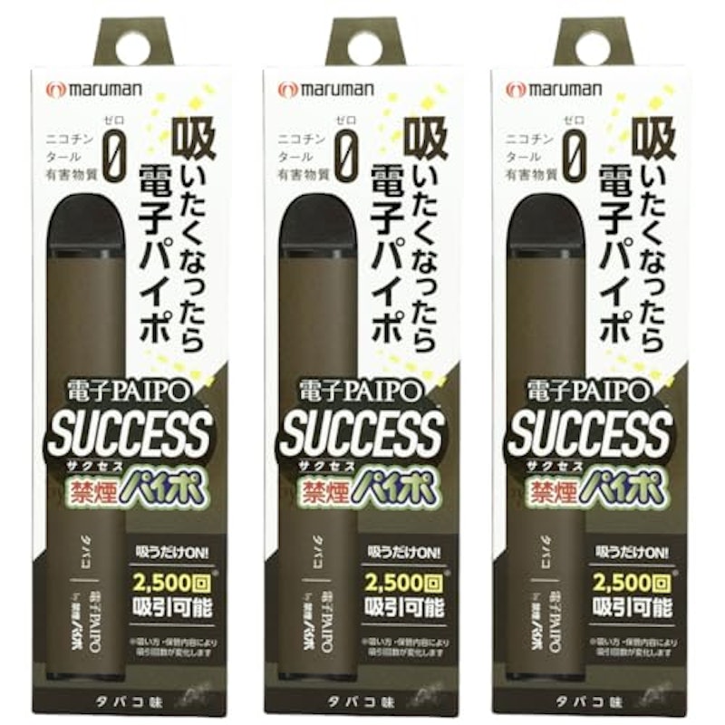 電子PAIPO SUCCESS 1
