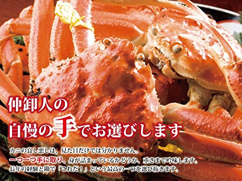 越前がに 4