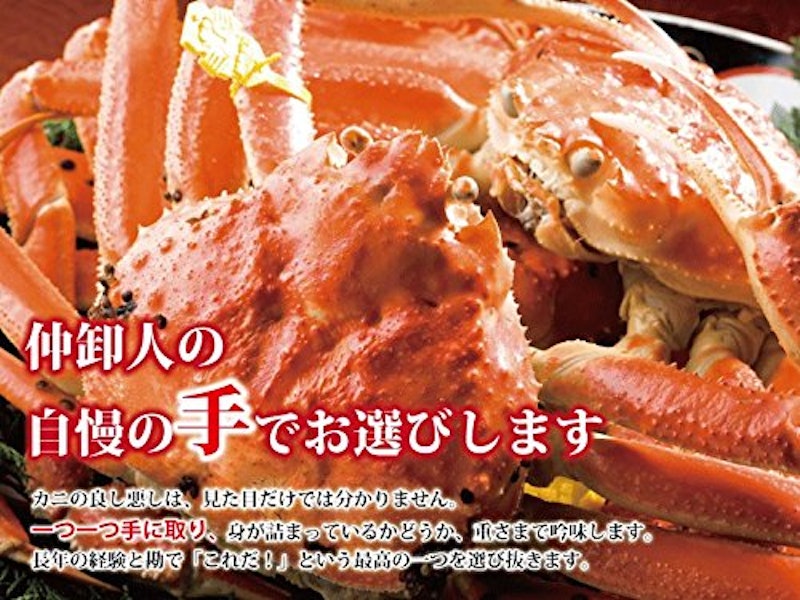 越前がに 4
