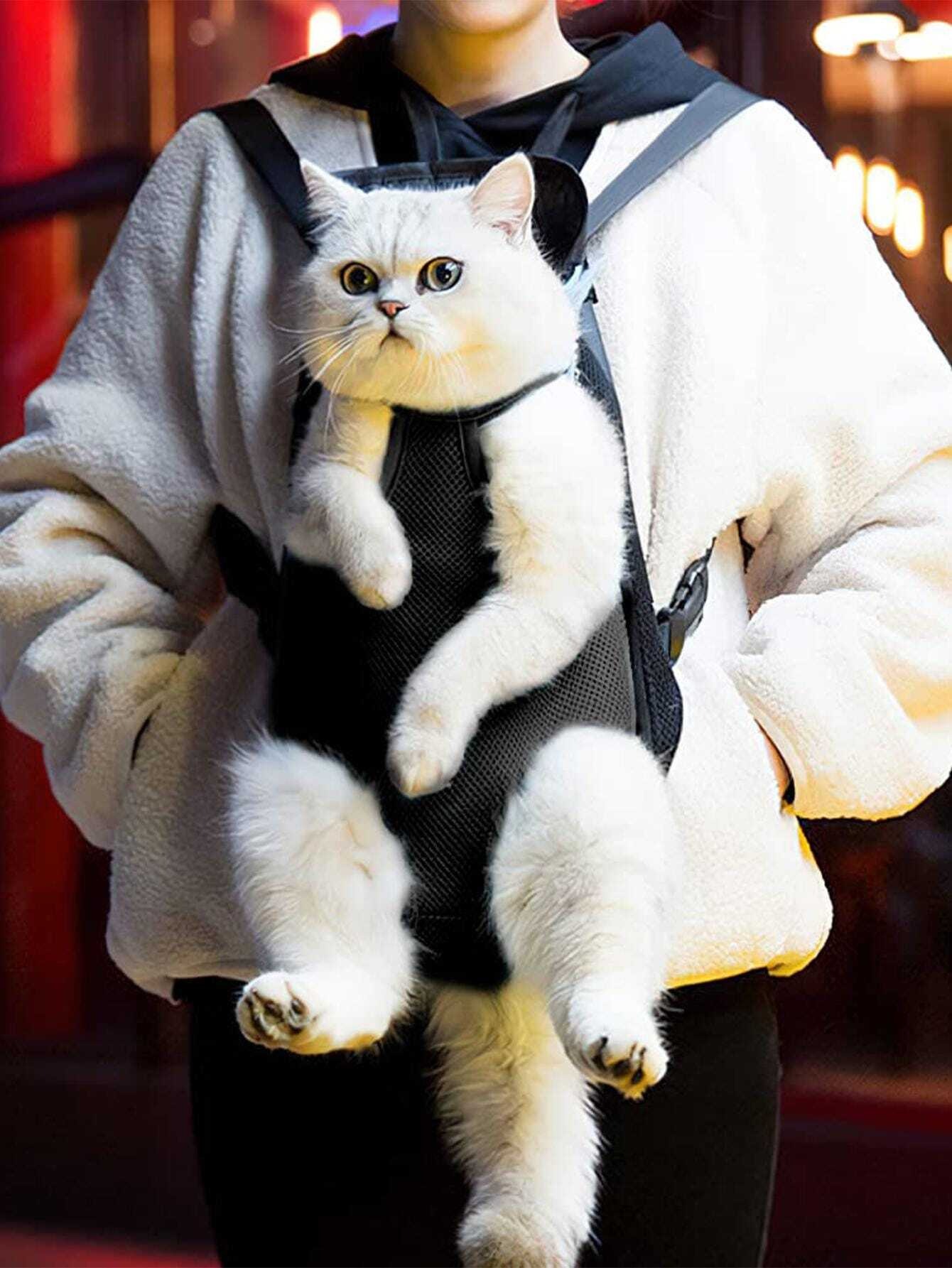 要問い合せ♥️愛する黒猫ちゃん♥️猫グッズ ねこ マガジンラック 本