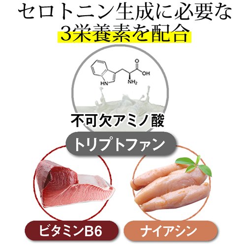 トリプトリズム  5