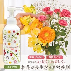 切り花延命剤のおすすめ人気ランキング【2025年】 | マイベスト 切り花延命剤のおすすめ人気ランキング【2025年】 | マイベスト