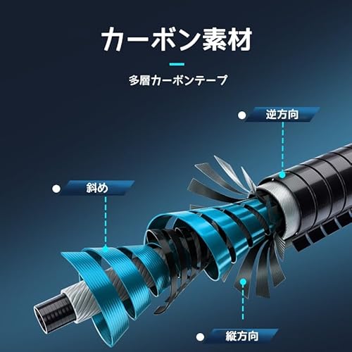 ライギョロッド 2