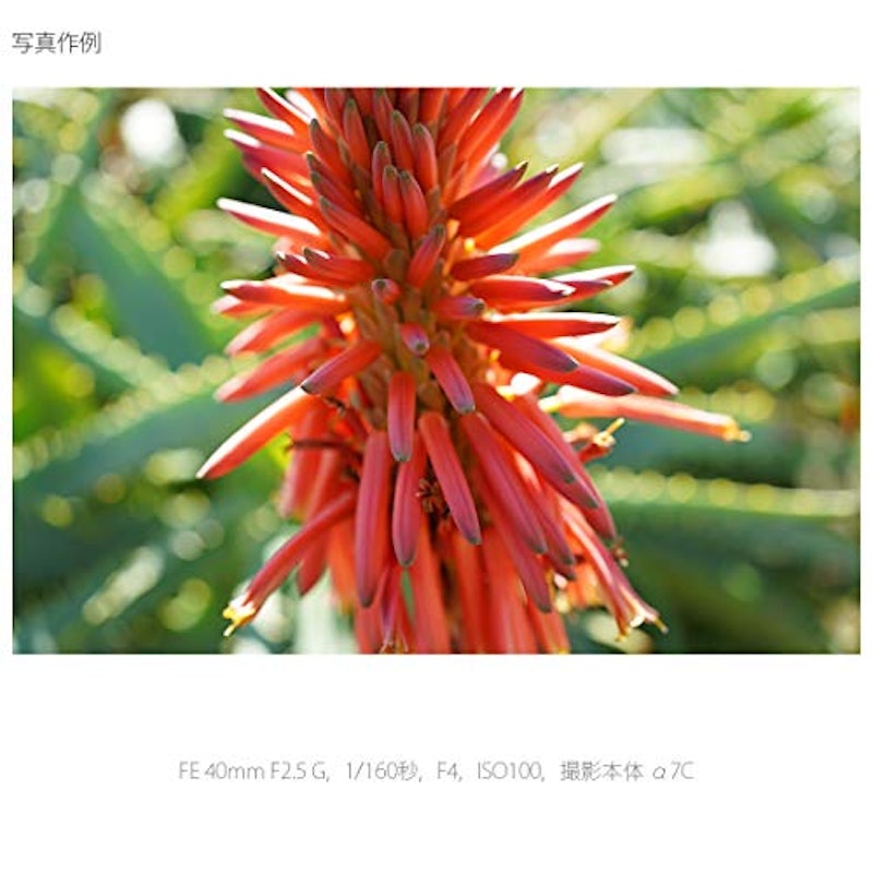 FE 40mm F2.5 G 3