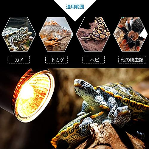 買取安いt5ho 5台　爬虫類 紫外線ライト　リクガメ　トカゲ ライト・照明器具