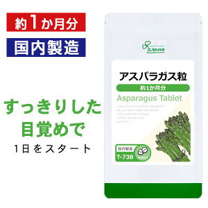 春芽アスパラ500グラム＋α（L〜2L（L多め）） - 野菜