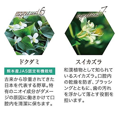 デンタルグリーンプロポリス 4