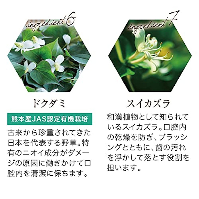 デンタルグリーンプロポリス 4