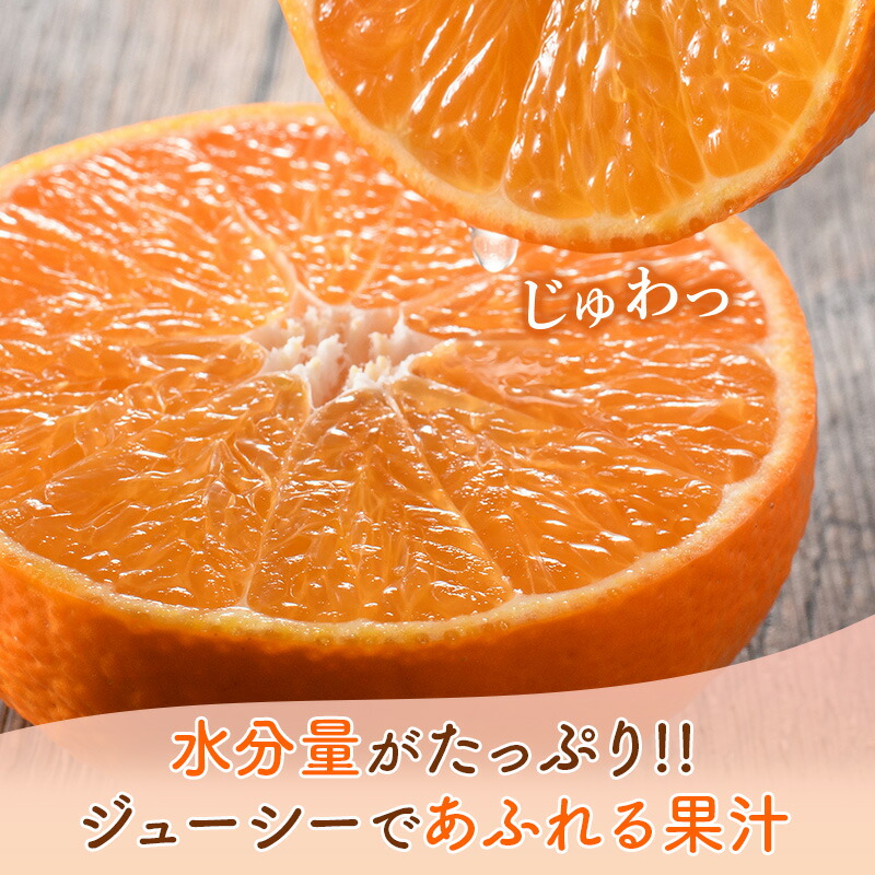紅まどんな 5