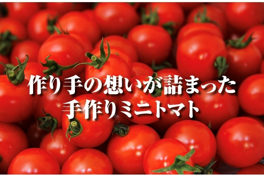 ソムリエミニトマト プラチナ 3